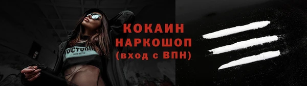 PSILOCYBIN Богданович