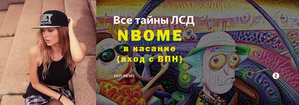 PSILOCYBIN Богданович