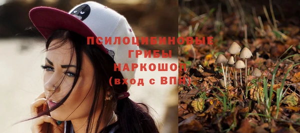 ешки Богородск