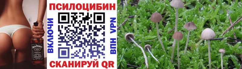 Галлюциногенные грибы Magic Shrooms  Нижний Тагил 